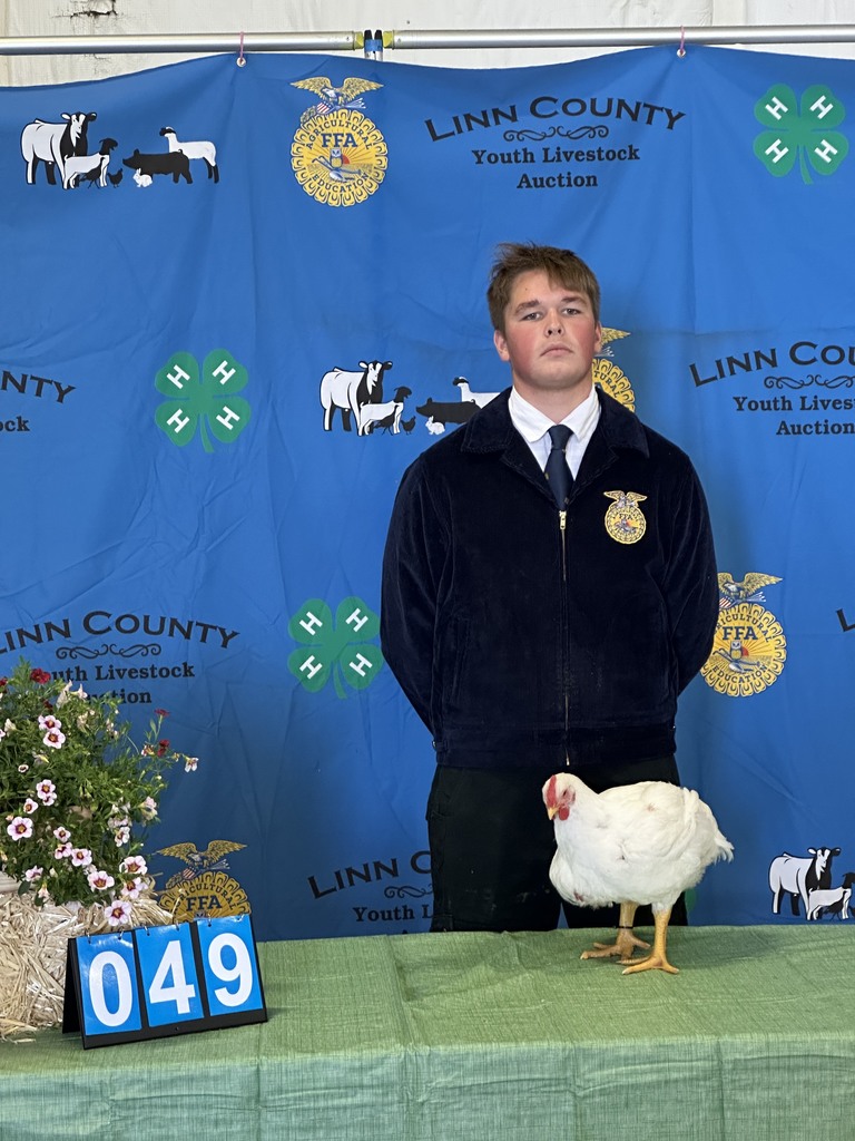 Support Youth in Livestock at the Linn County Fair 